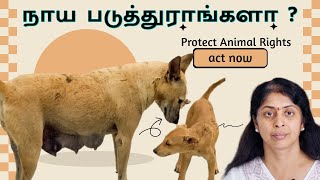 How to stop Animal cruelty in Tamil 100 இந்த tips work பண்ணும் Street Dogs in Tamil [upl. by Thorr882]