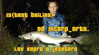 13test boilies od CarpArts lov kapra a jesetera [upl. by Varhol]