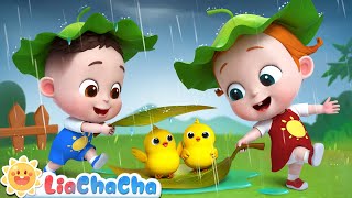 Baby Animals Play in the Rain  Rain Rain Go Away  Kids Songs amp Nursery Rhymes  LiaChaCha [upl. by Arihaz372]