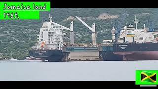 travel kng harbour viewgun boatNMairport must watchdis [upl. by Lempres]