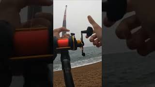 Huge mackerel caught on ragworm bait mackerel fishing beachfishing fishinguk seafishing fish [upl. by Alarice622]