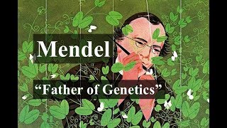 Mendel Father of Genetics  NEET  HINDI ExploreWithKirti [upl. by Naoma932]