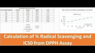 Radical Scavenging Activity Measurement and IC50 Calculation DPPH Assay in Excel [upl. by Evatsug]