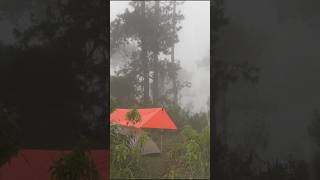 SOLO CAMPING IN HEAVY RAIN WITH FOG ⛈🏕 shorts [upl. by Jenine]