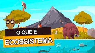 O que é um ECOSSISTEMA Saiba o que é um ecossistema marinho e terrestre [upl. by Selin]