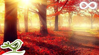 Beautiful Romantic Music Relaxing Music Piano Music Violin Music Guitar Music Sleep Music ★101 [upl. by Goody889]