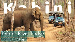 Kabini River Lodge  Viceroy Package kabini campingtales safari [upl. by Laith]