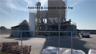 A Trip to the Auction amp Feed Mill [upl. by Yorgerg612]