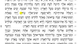 Torah Reading  Genesis Chapter 8 HD [upl. by Aneerol904]