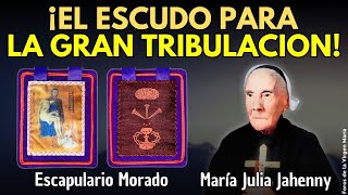 La Virgen María Entregó el Escapulario Morado como Escudo para la Gran Tribulación [upl. by Acirem]