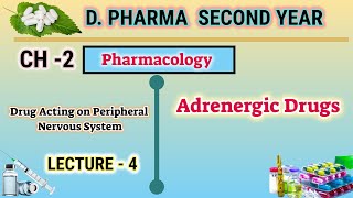 Adrenergic drugs  CH2  L4  Pharmacology  DPharm second year [upl. by Dedra126]