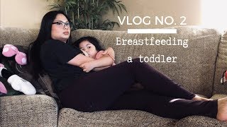 VLOG NO 2  Breastfeeding a toddler almost 3 yrs old [upl. by Ewolram]