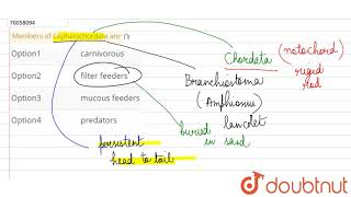 Members of Cephalochordata are [upl. by Hulda]