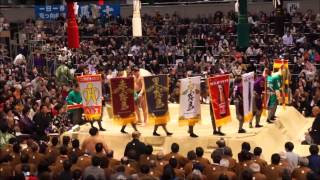 Sumo en Osaka  Harumafuji  Hakuho [upl. by Edmunda455]