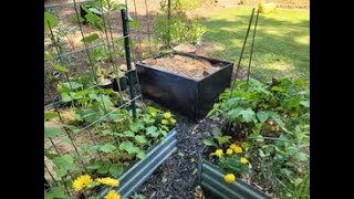 1 File Cabinet Created 3 New Garden Beds [upl. by Kronfeld880]