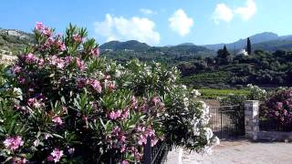 30 seconds spring on Samos landscape below Vourliotes on the north coast [upl. by Gazzo338]