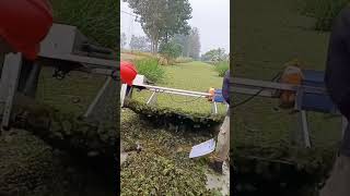 Fish pond duckweed feed collection process [upl. by Stauder]