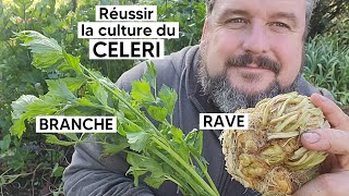 Comment cultiver le CELERI RAVE ou le CELERI BRANCHE 『TUTO』 [upl. by Rains]