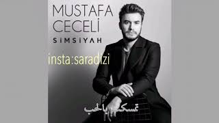 mustafa ceceli vurulmuşum مترجمة للعربية [upl. by Ahsiam348]