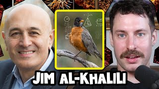 How Do Robins Use Quantum Mechanics  Jim AlKhalili [upl. by Enitselec]