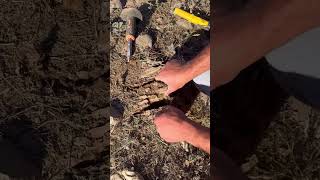 define metaldetecting definebulmaani defineişaretleri metaldetector treasurefind definemall [upl. by Ydahs]