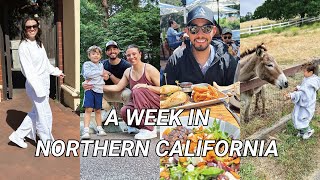 A WEEK IN NORTHERN CALIFORNIA  exploring cute coffee shops museums libraries shopping amp more [upl. by Cleon]