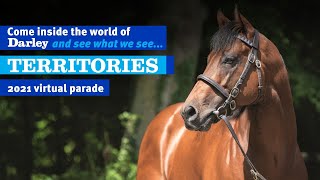 2021 Darley Australia Stallion Parade  Territories [upl. by Aicnilav551]