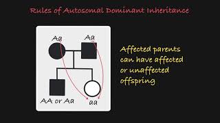 Autosomal Dominant Traits in a Pedigree [upl. by Angelis]