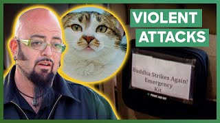 Jackson Galaxy Meets A Couple With A First Aid Kit For Aggressive Cat  My Cat From Hell [upl. by Euqirne]