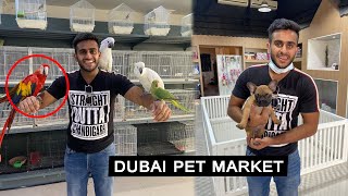 International Pet amp Dog market Dubai [upl. by Nader]