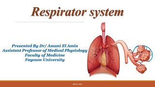 Respiratory System  Gas exchange and ventilation perfusion ratio [upl. by Ocirederf]