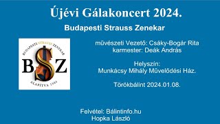 Budapesti Strauss Zenekar Újévi Koncert 2024 Törökbálint [upl. by Ainitsirhc]