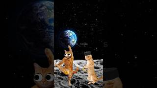 Kucing lucu gamau sunat cat shortvideo kartun funny animation shorts [upl. by Bendite]