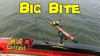 Ohio River ActionFishing for Blue catfish around mussel beds [upl. by Lettie]