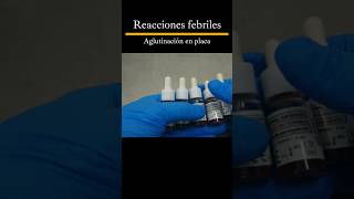 Como hacer las reacciones febriles laboratorioclinico tutorial shorts [upl. by Narf810]