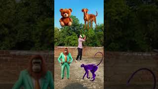 Teddy bear to  monkey cats dog funny vfx magical video  youtubeshorts trend subscribe subscrib [upl. by Giacomo849]