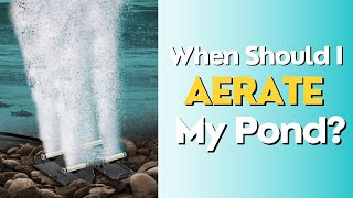 When Should I Aerate My Pond [upl. by Kriss914]