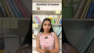 Excretion in one shot lifeprocesses class10biology neet excretion aiims neetncertbiology [upl. by Orimisac]