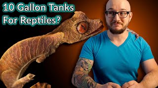 Top 5 Reptiles That Can Live In A Ten Gallon Enclosure FOREVER [upl. by Enilrahc]