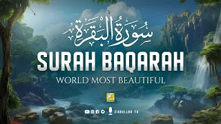 Surah Al Baqarah Full سورة البقره  Relaxing Calming amp Heart Touching Quran  Zikrullah TV [upl. by Cris]