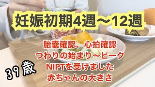 【妊娠初期】4週〜12週の胎児の大きさ、心拍、体の変化｜つわりのピーク｜NIPTを受けました｜CRL｜BPD｜39歳高齢妊娠｜妊婦健診｜血液検査｜つわりの対処法｜出血に怯える日々 [upl. by Uoliram]