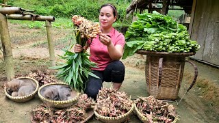 Harvesting Ginger amp Vegetables Goes to market sell  Cooking  Puppy [upl. by Nywra]