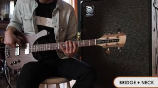 Thunderbucker Ranch Bass Pickup Demo The 66 Series  Serek Basses [upl. by Kinny]