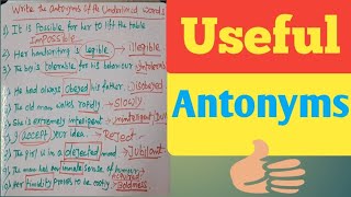 Useful Antonyms [upl. by Nillor]