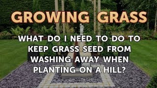 What Do I Need to Do to Keep Grass Seed From Washing Away When Planting on a Hill [upl. by Remsen]