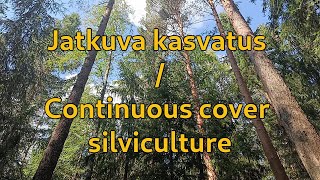 Jatkuva kasvatus ennen hakkuuta osa 1  Continuous cover silviculture part 1 [upl. by Enylodnewg]