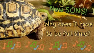 Why does it have to be fall time A fall tortoise song [upl. by Estrellita]