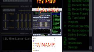 WinAmp  Old School Cool [upl. by Llekim]