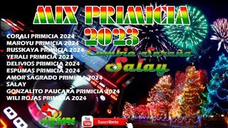 MIX PRIMICIA 2024 CUMBIA SUREÑA SALAY DJ IMPA [upl. by Britteny230]