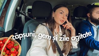 VLOG  Culegem căpșuni gem la Thermomix și ce am învățat de când fac vloguri  Zile agitate [upl. by Ettennor]